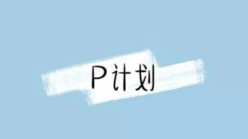 p计划